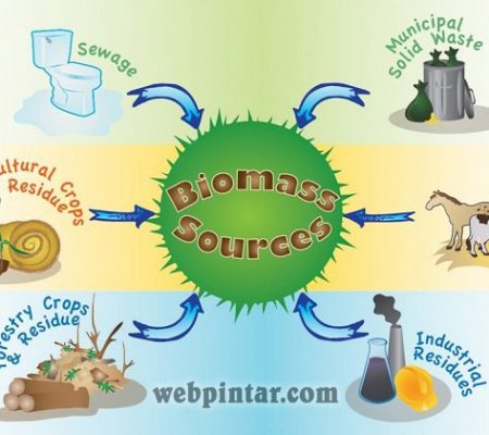 Contoh Sumber Daya Alam yang Dapat Diperbaharui Biomassa